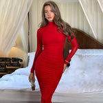 Sexy Mesh Long Sleeve Dress